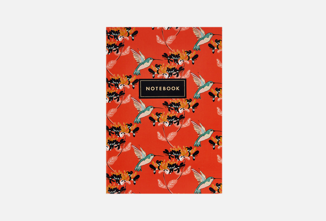 Изображение товара Тетрадь Hummingbird dot 24 стр. формат A5 мягкая обложка