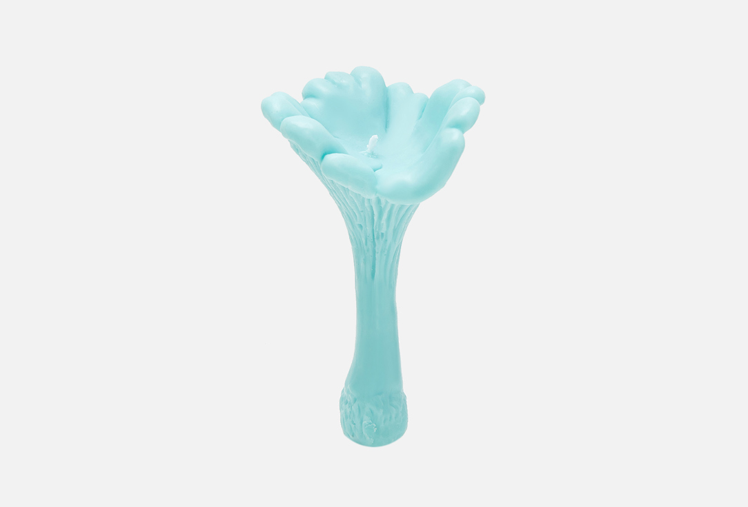 Гриб Лисичка