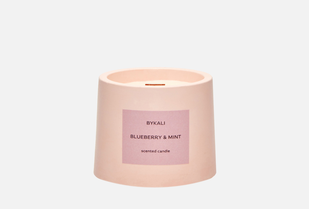 Черника и Мята 120 мл