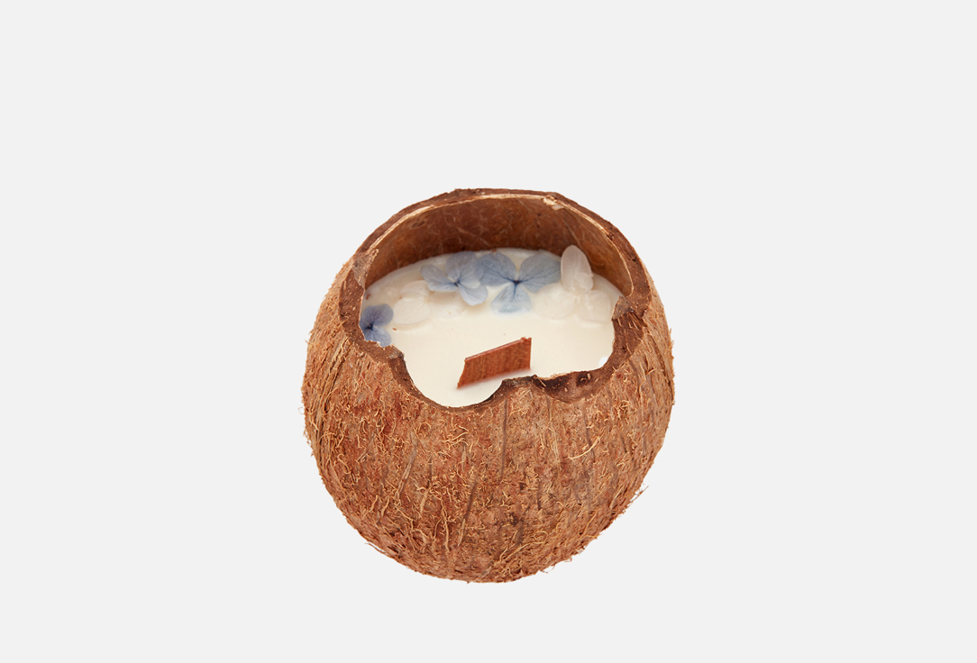 

Ароматическая свеча CANDLE ZEN, Белый, Black Sea 250 мл