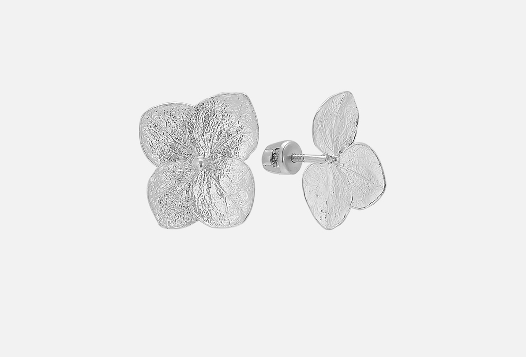 Гортензии Гранд Асимметрия 2 шт