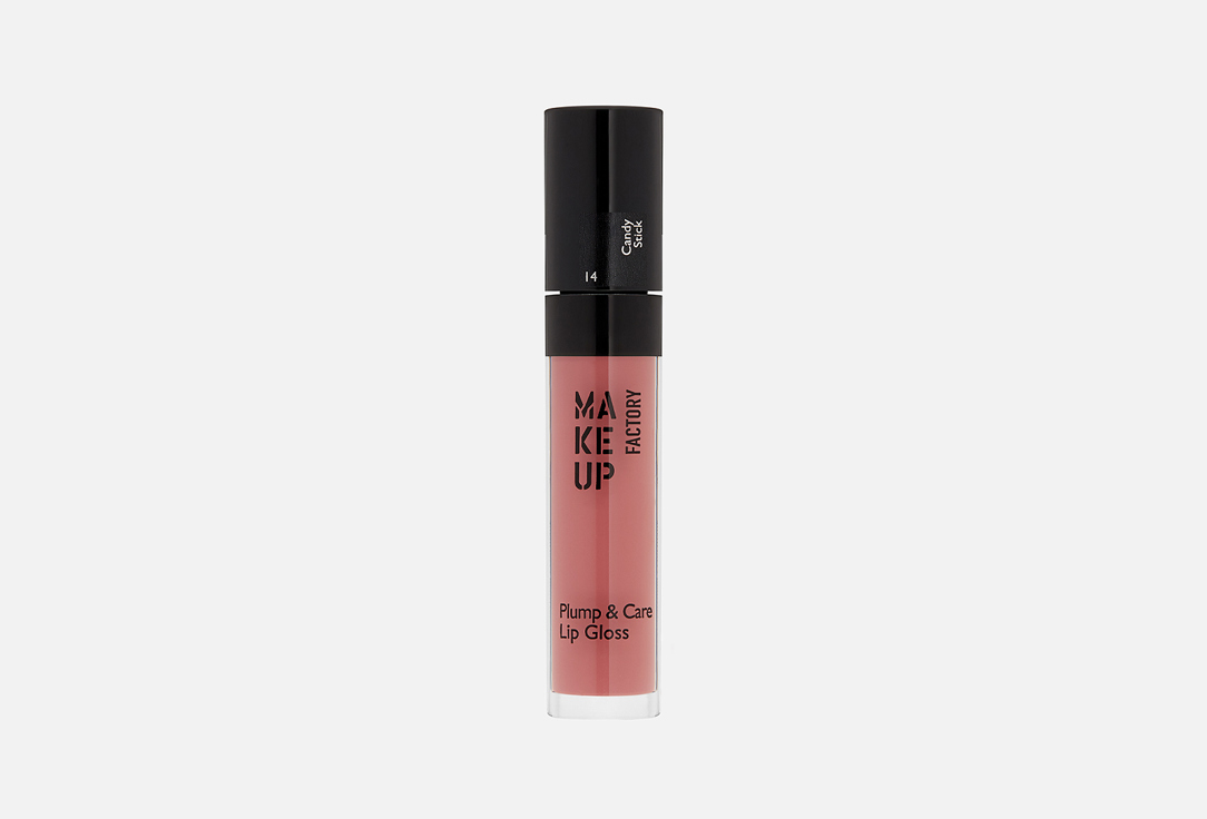 PLUMP CARE GLOSS 4 мл 1521₽