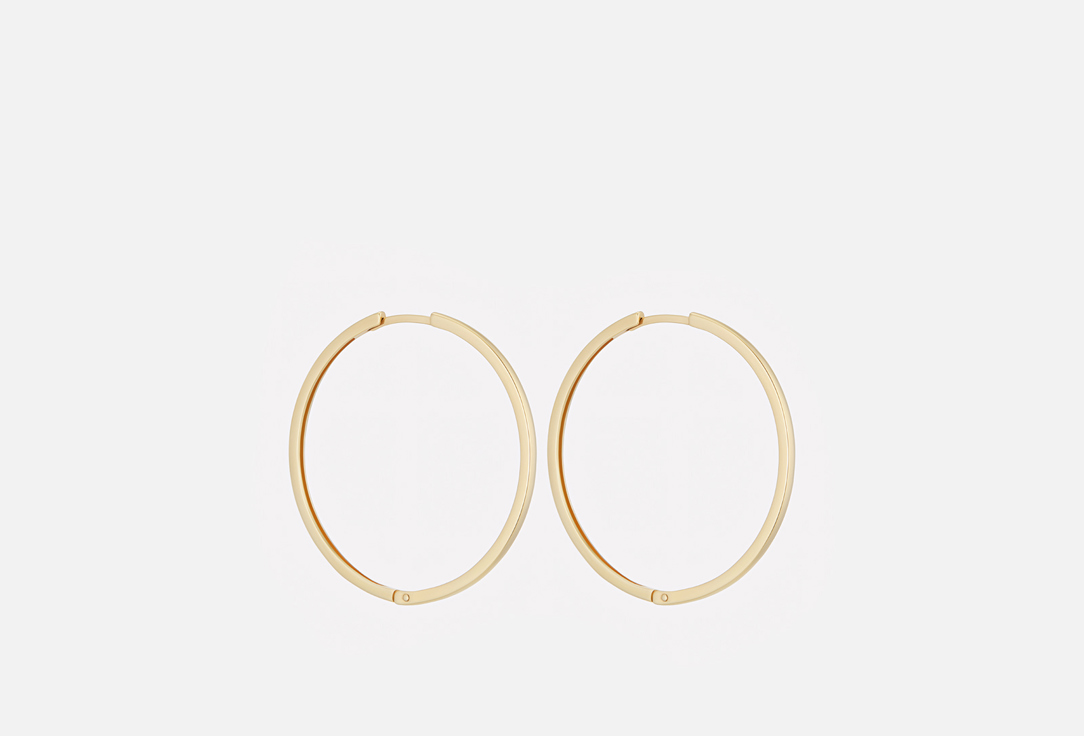 Изображение товара Серьги-кольца серебряные Dita One Earrings