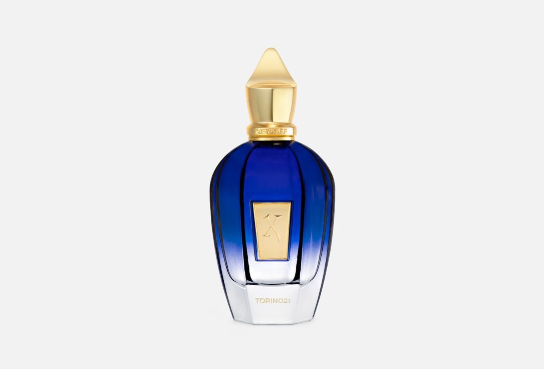 Torino21 100 мл 39117₽