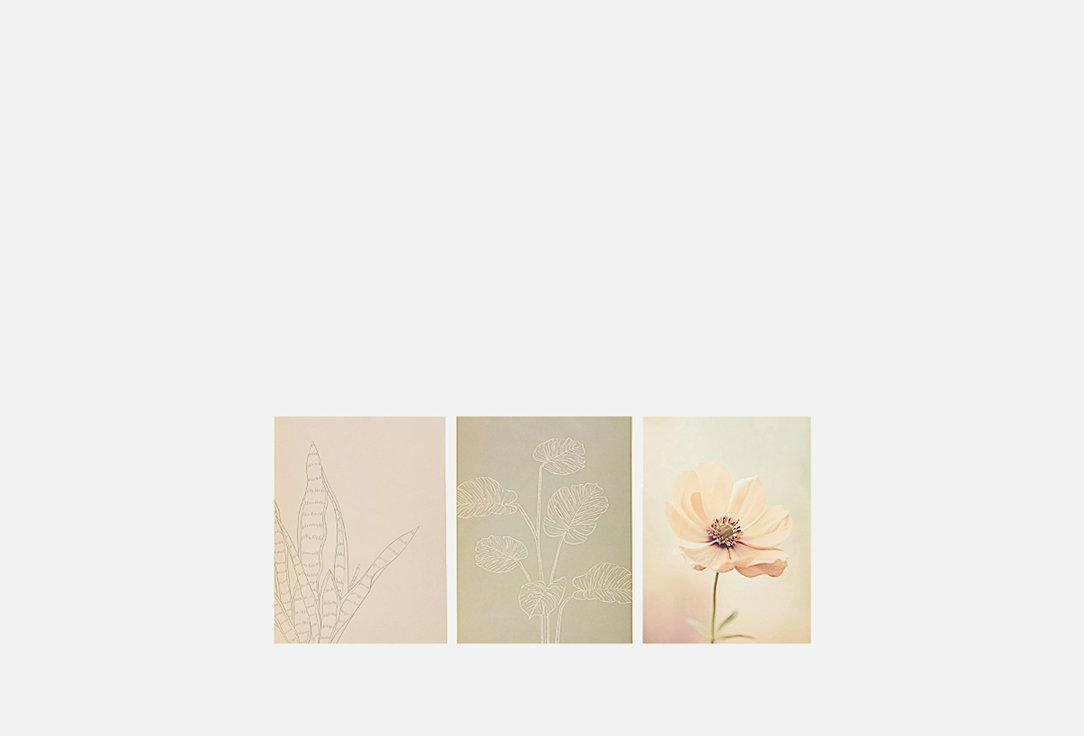 Изображение товара Набор постеров Вещицы Нежность