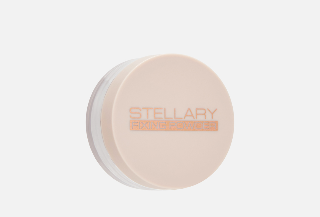 Perfect matte fixing powder 5 г 432₽