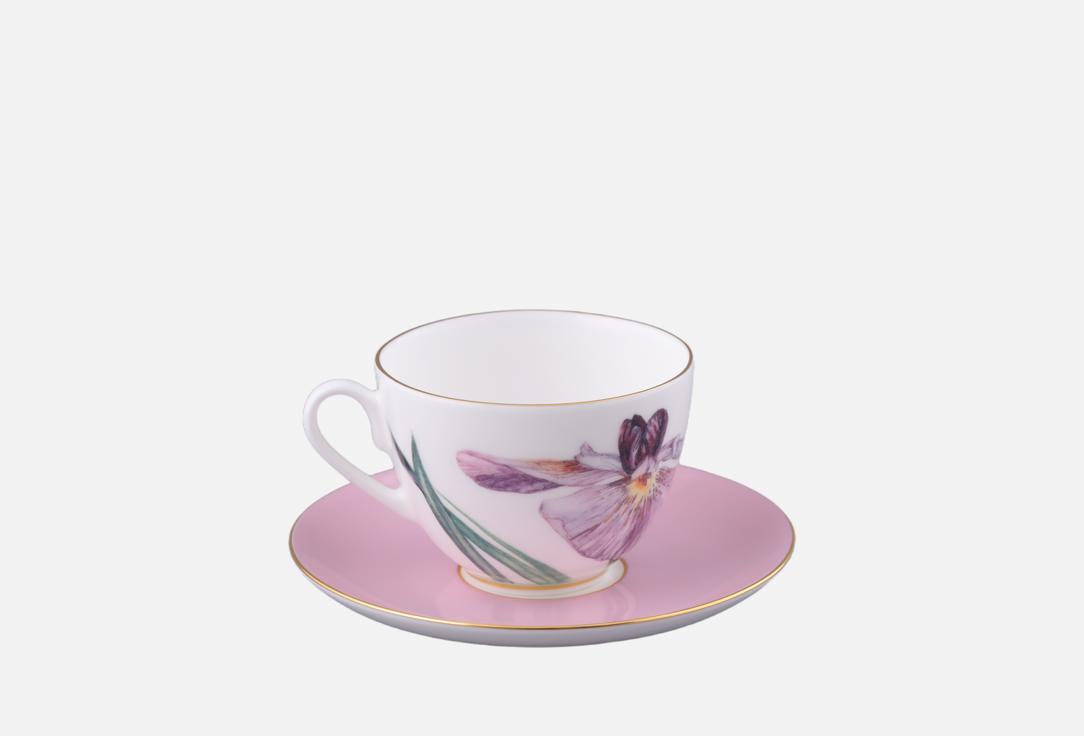 

Чашка с блюдцем ИМПЕРАТОРСКИЙ ФАРФОРОВЫЙ ЗАВОД, Розовый, Весенняя-2 Роузи, розовый 1 пар