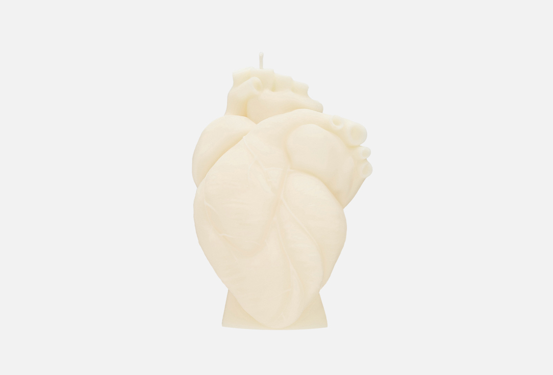 

Свеча NOTEM, Анатомическое сердце, Cream 470 г
