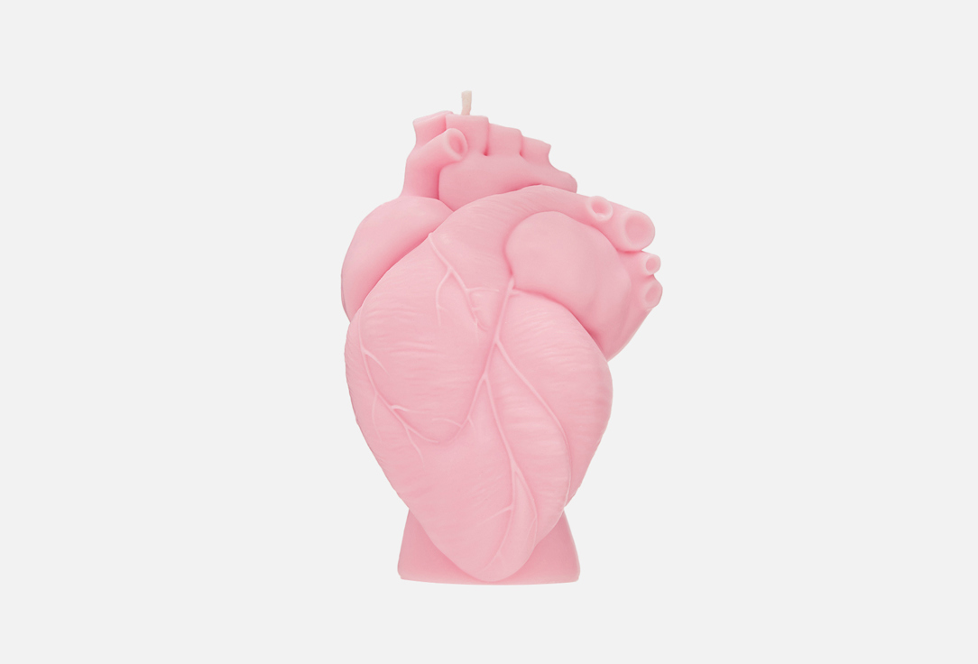 

Свеча NOTEM, Анатомическое сердце, Pink 470 г