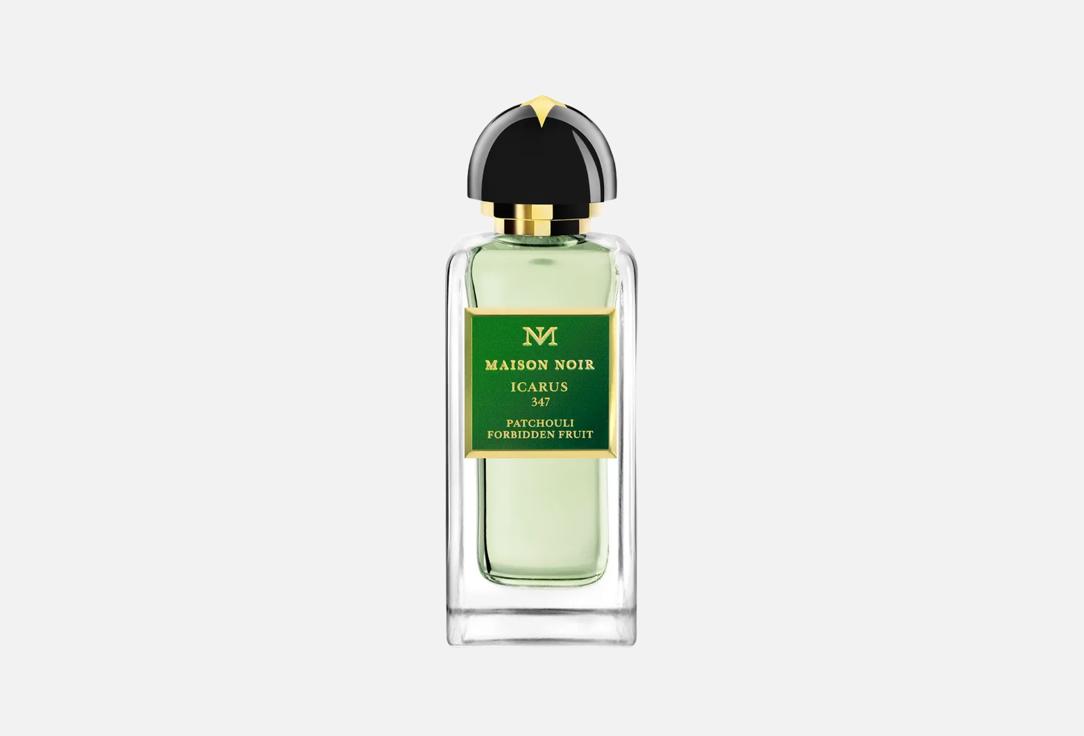 Парфюмерная вода MAISON NOIR ICARUS 100 мл