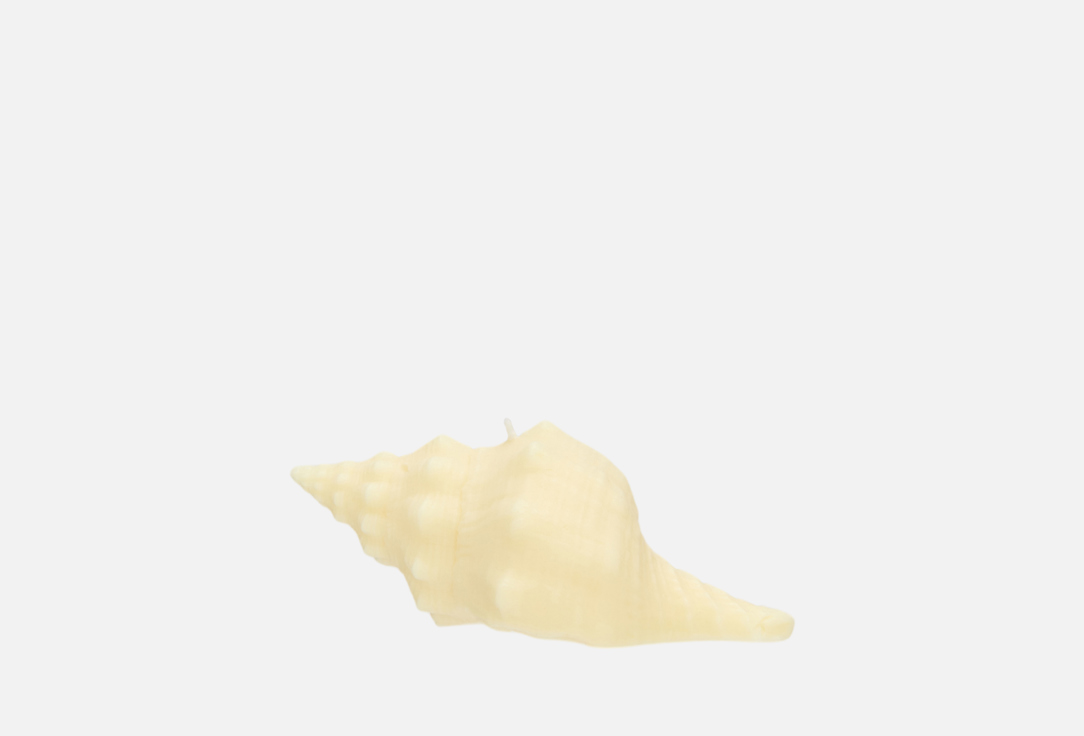 Изображение товара Интерьерная свеча Ракушка рог тритона с ароматом морской соли натуралистичный дизайн