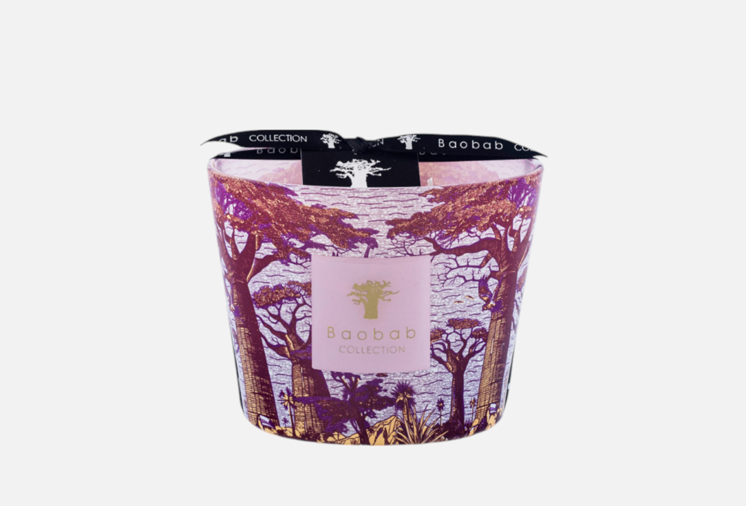 

Свеча BAOBAB COLLECTION, Sacred Trees Max 10 Massasso 500 г