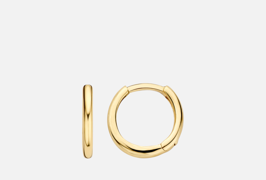 Изображение товара Золотые серьги кольца 14 карат Blush 11,3 мм мужские украшения