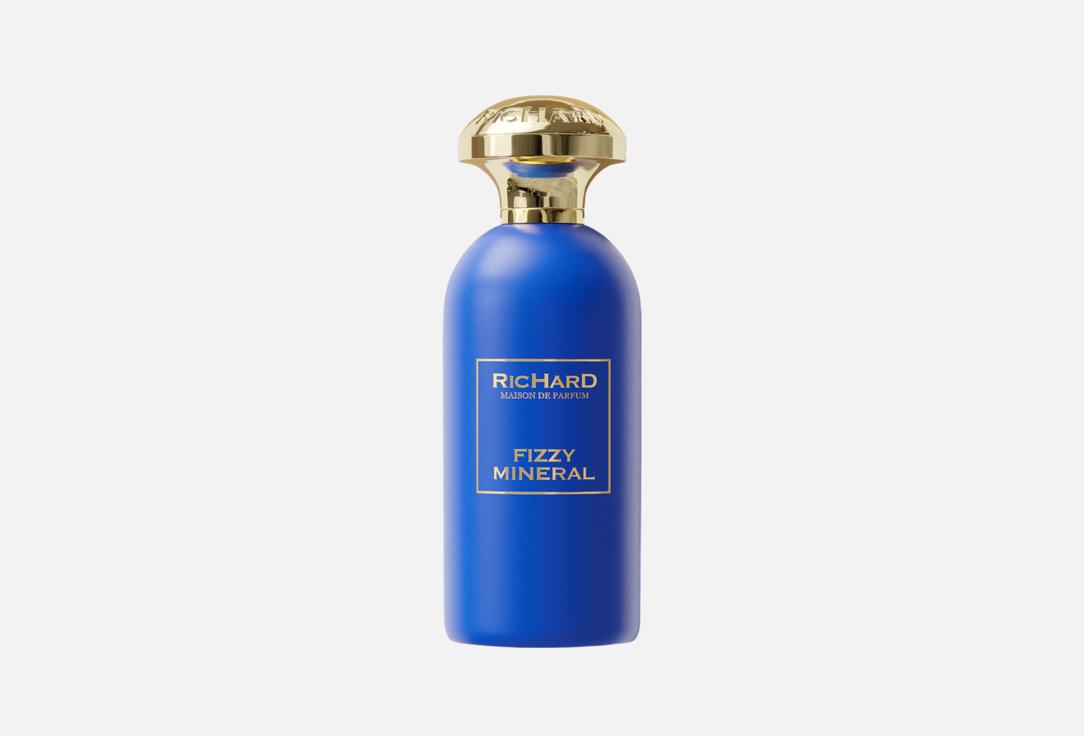 

Парфюмерная вода RICHARD MAISON DE PARFUM, Fizzy mineral 100 мл