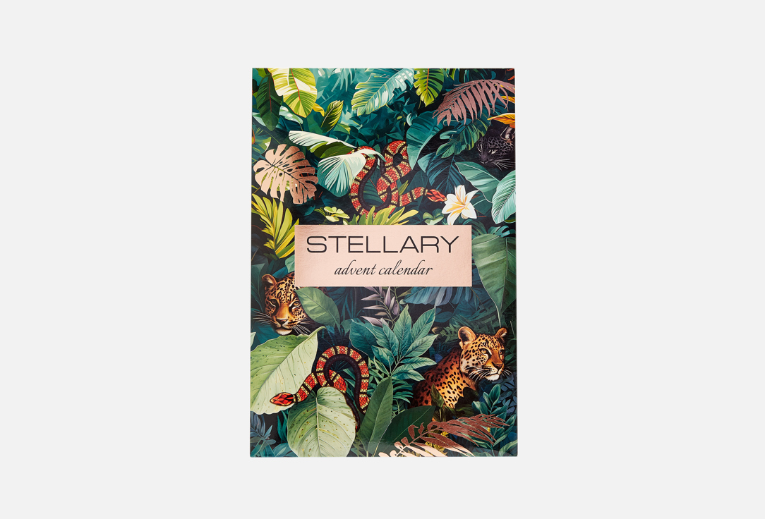 

Адвент-календарь STELLARY, Advent calendar 31 days 2025 31 шт