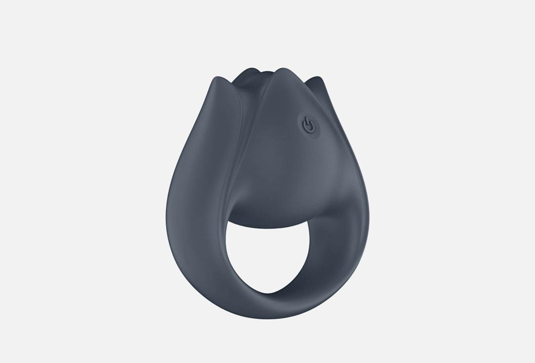 Изображение товара Мультивибратор Satisfyer Perfect Pair 2