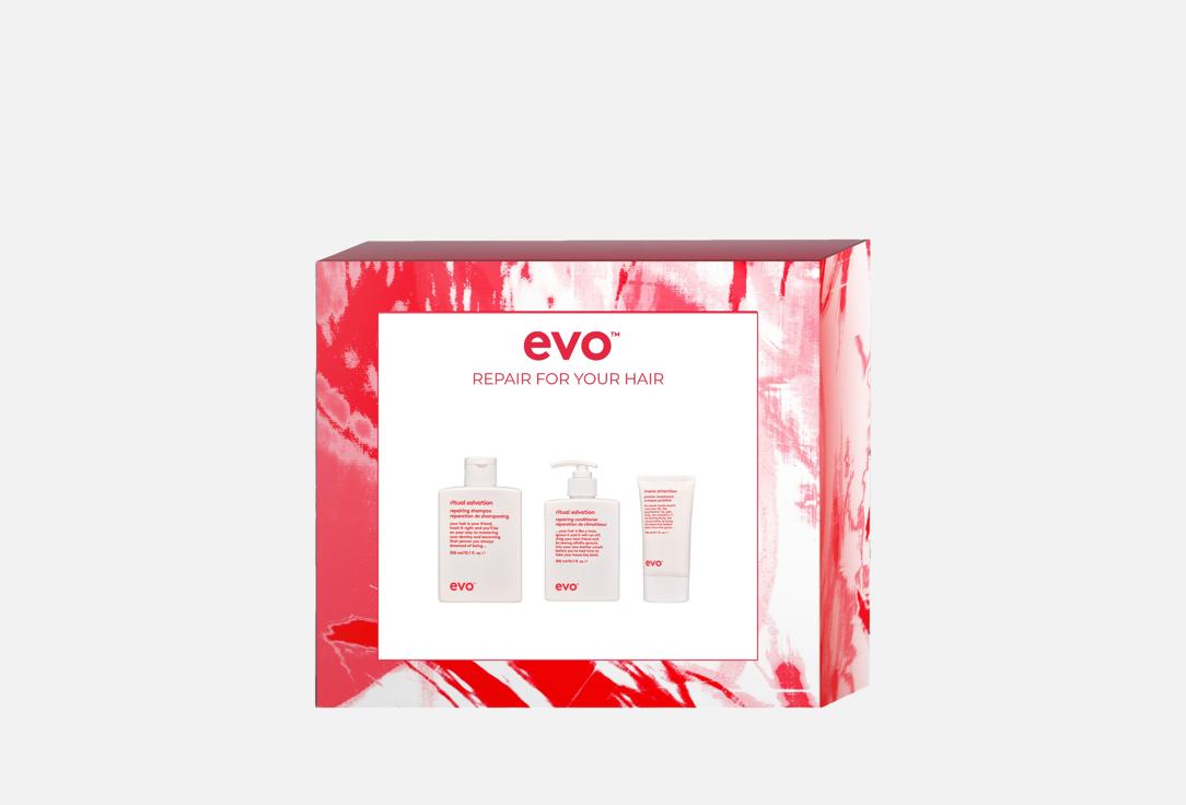 Изображение товара Набор средств для восстановления поврежденных окрашенных волос EVO Repair