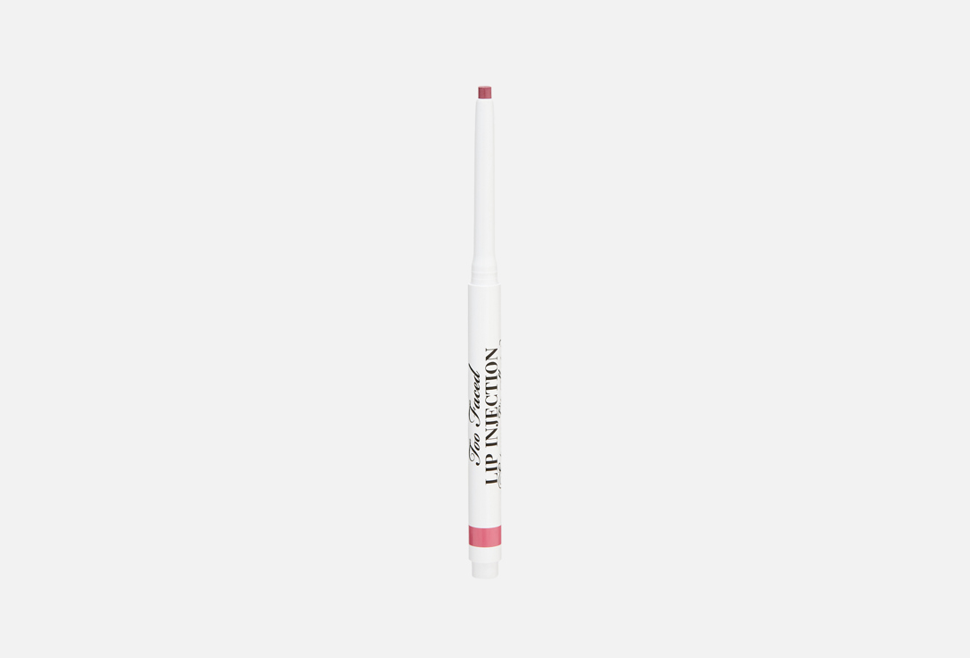 Lip Injection 038 г 2600₽