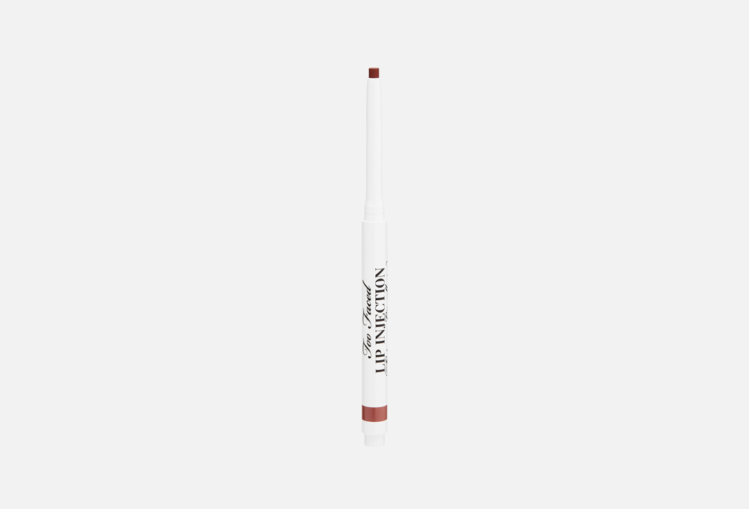 Lip Injection 038 г 2600₽