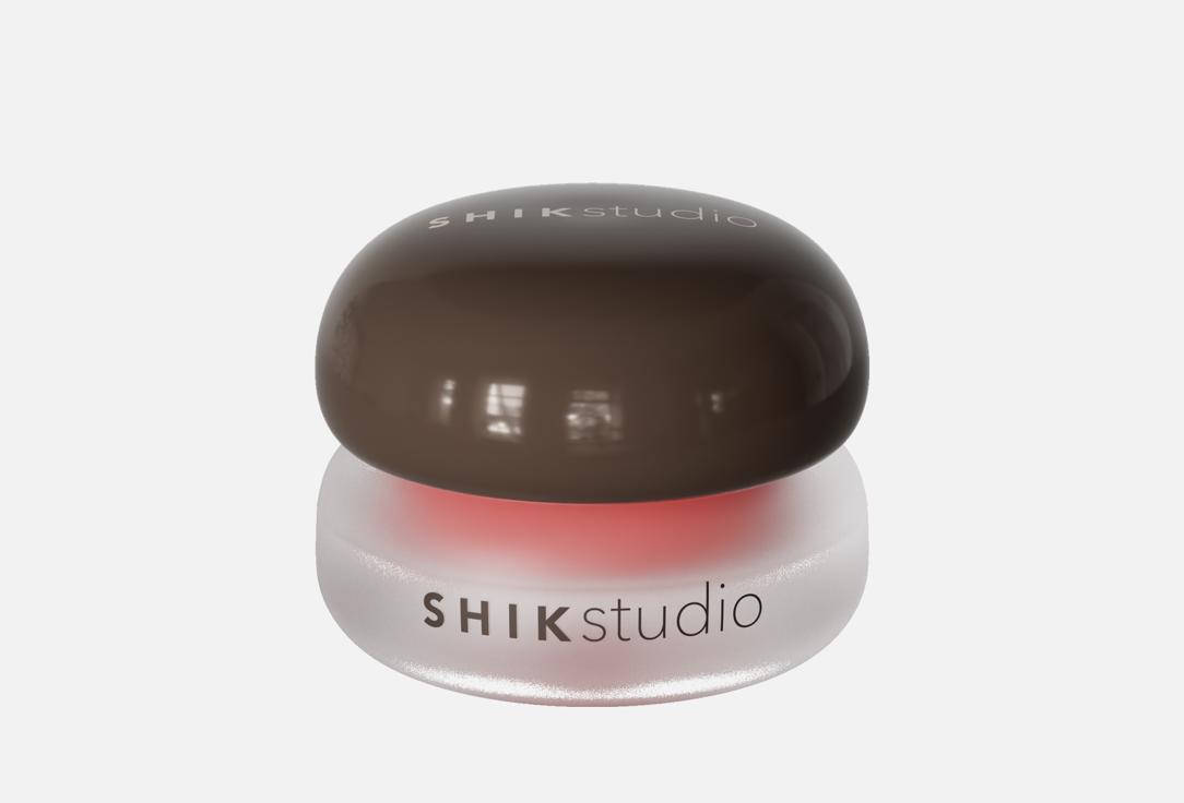 Sheer Color 3 г 890₽