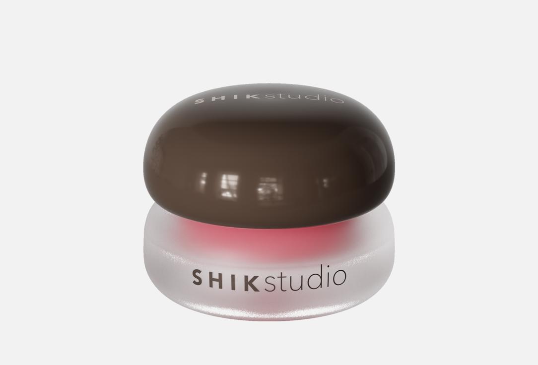 Sheer Color 3 г 890₽