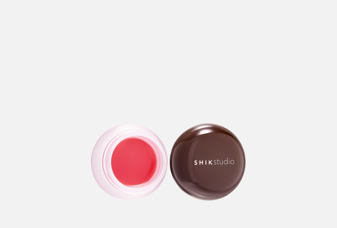 Sheer Color 3 г 890₽