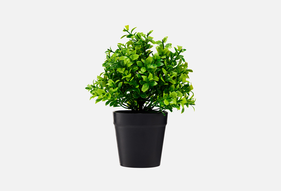 

Искусственные цветы в кашпо TOPGIFT, Зеленый, Зеленые, 9,5x9,5x23 см 1 шт