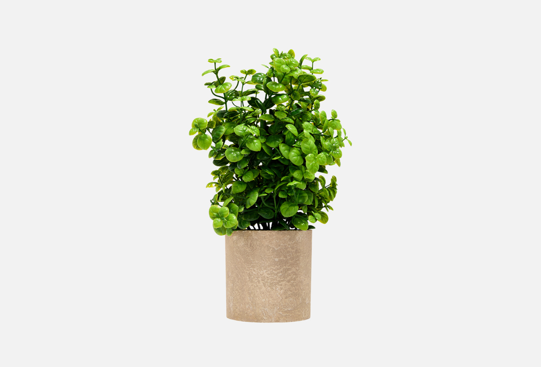 

Искусственные цветы в кашпо TOPGIFT, Зеленый, Зеленые, 8x8x23 см 1 шт