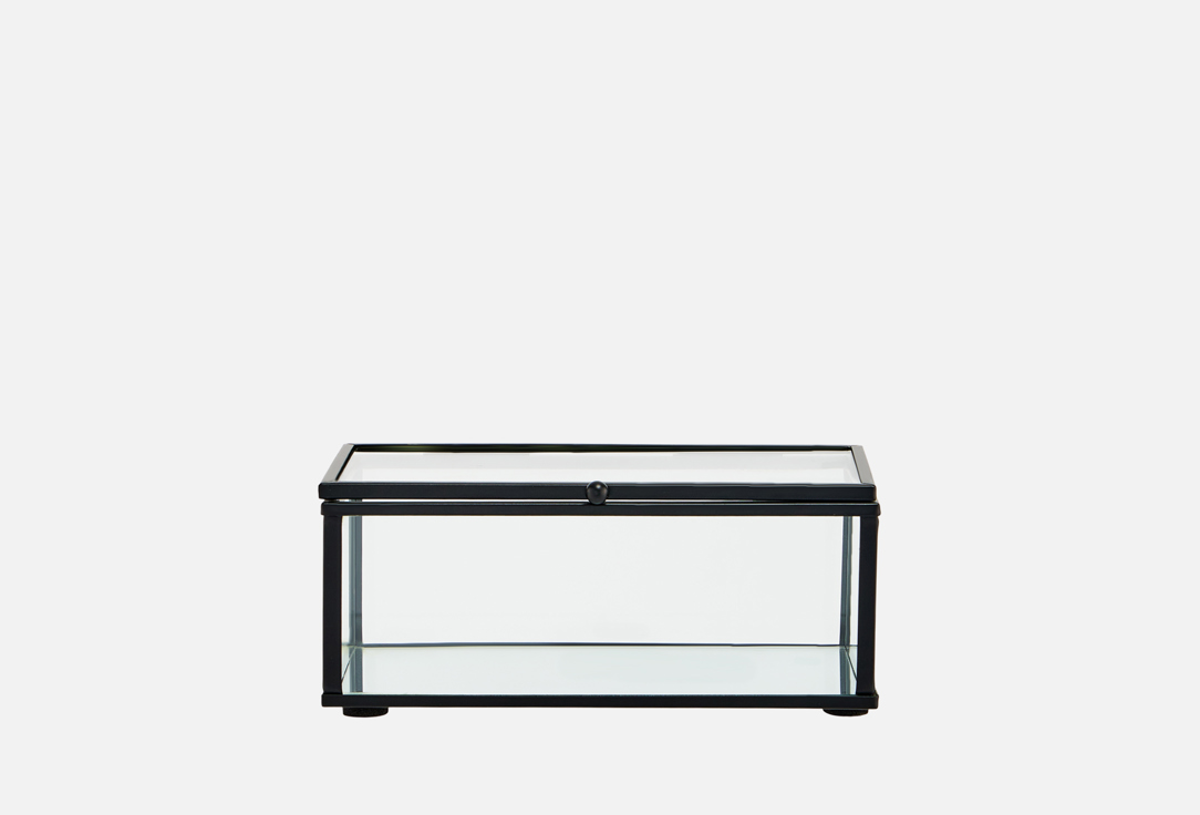 

Шкатулка для украшений TOPGIFT, Прозрачный, 14,5x9x6 см 1 шт