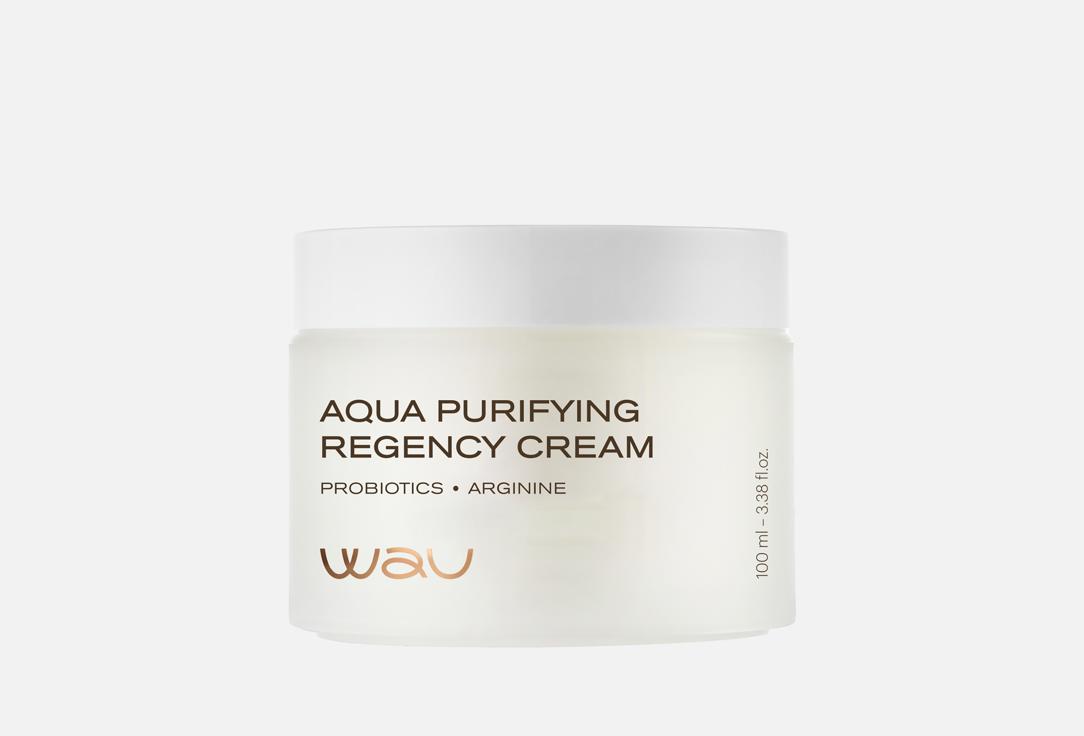 Aqua Purifying Regency 100 мл