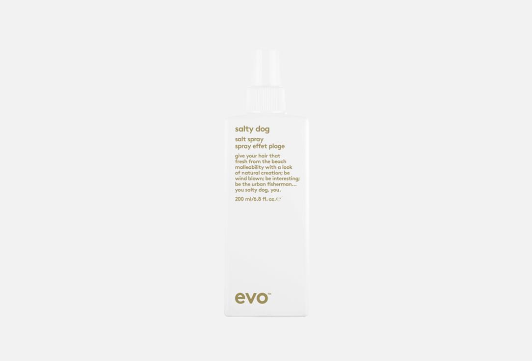 Изображение товара Текстурирующий спрей EVO salty dog salt spray