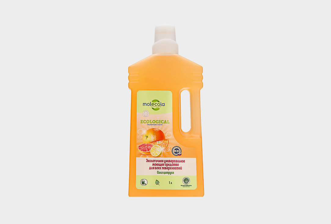 All purpose cleaner Citrus Power  1000 