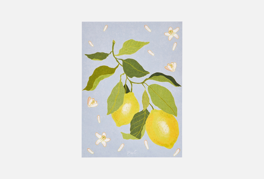 Лимончики 1 шт 299₽