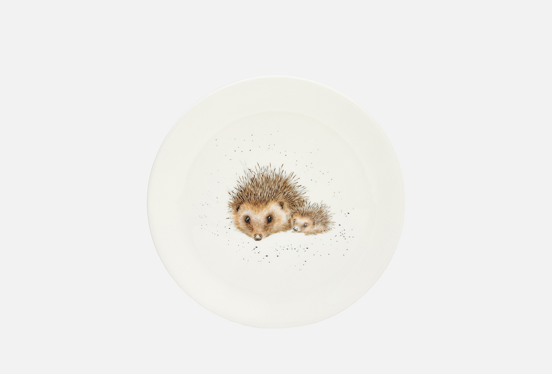 Изображение товара Тарелка закусочная Royal Worcester Еж 21 см фарфор посудомоечная и микроволновая