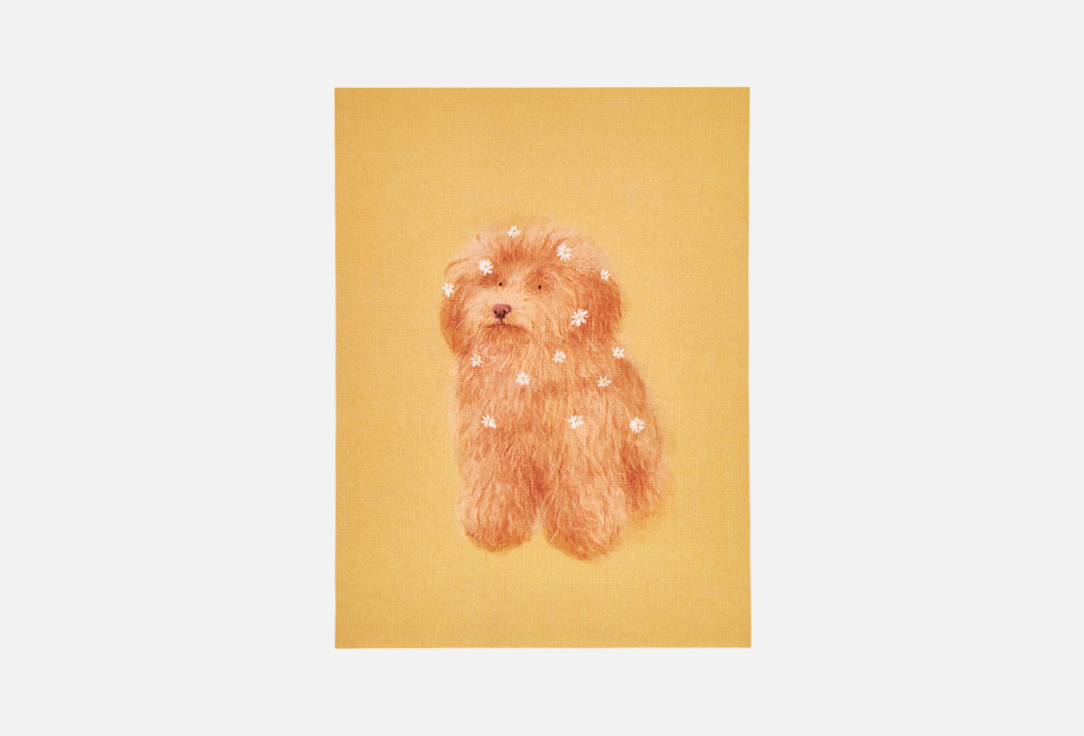 

Открытка O PAPER PAPER, Лабрадудель 1 шт