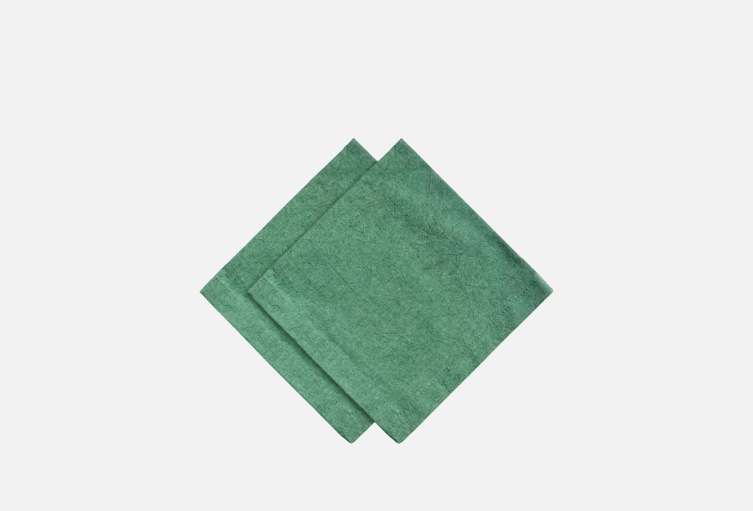 

Набор столовых салфеток VERETIĒ, Зеленый, GREEN TEA, 40х40 2 шт