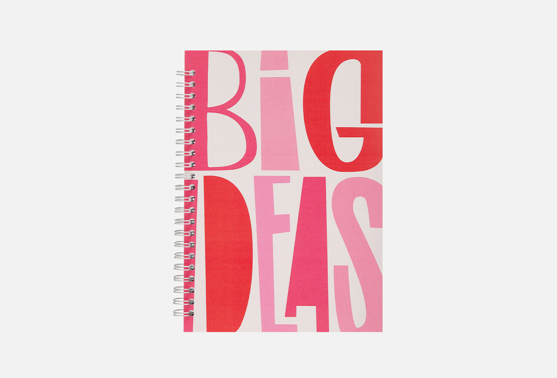 Большая идея 1 шт 380₽