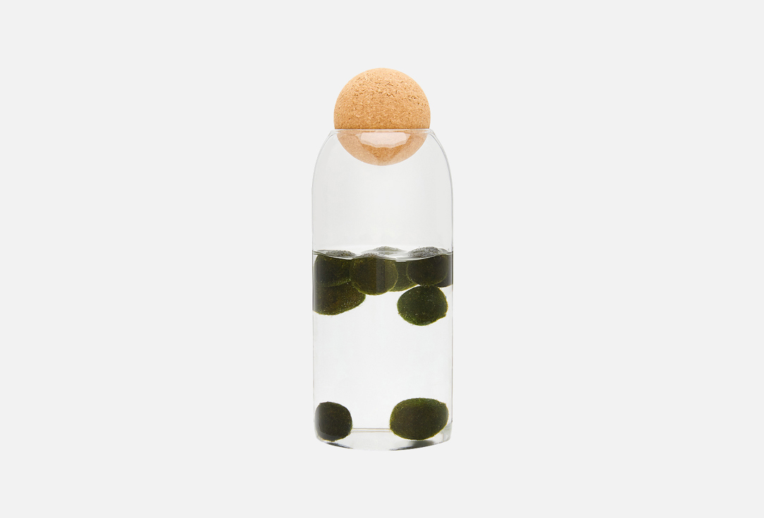 

Клошариум HEIS, Прозрачный, Moss ball pet in a bottle
