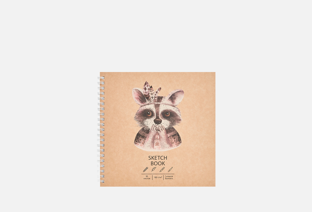 Изображение товара Скетчбук LISTOFF Cute racoon