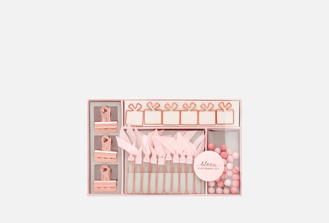 Канцелярский набор N FAMILY Pink 49 шт