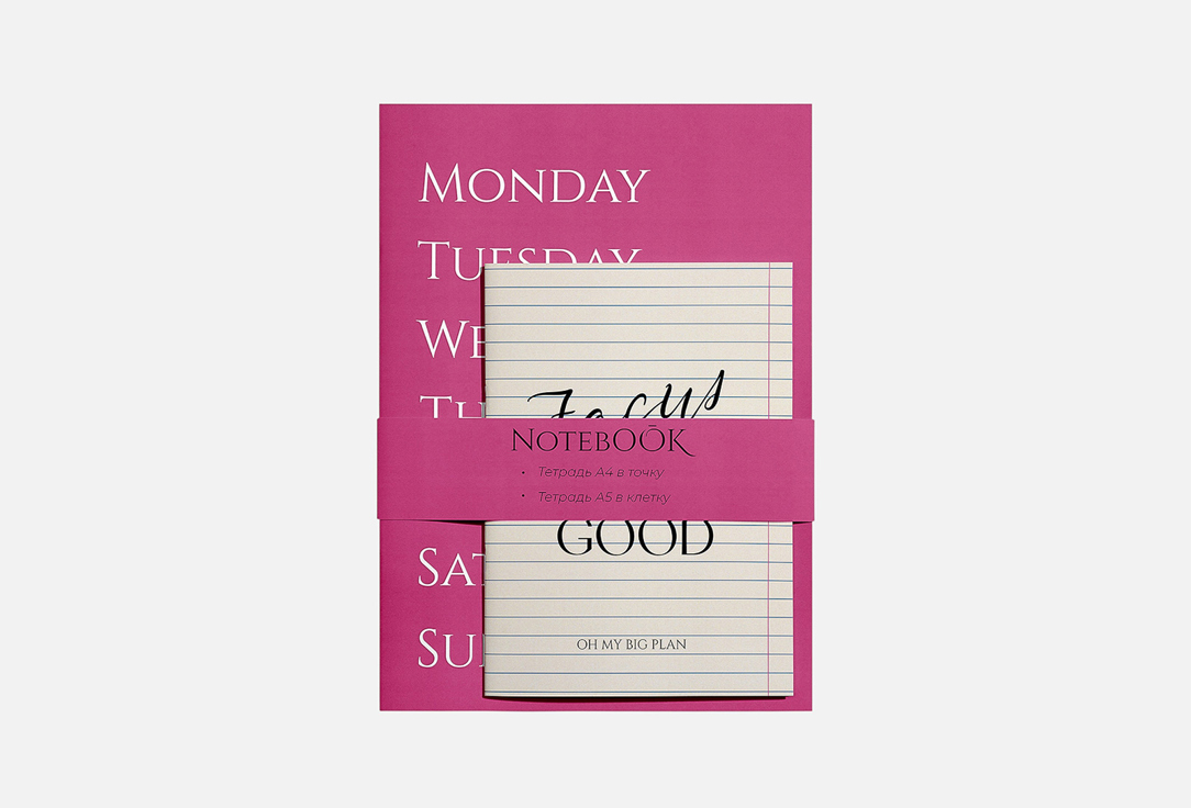 Изображение товара набор тетрадей Toudi My Big Plan Pink