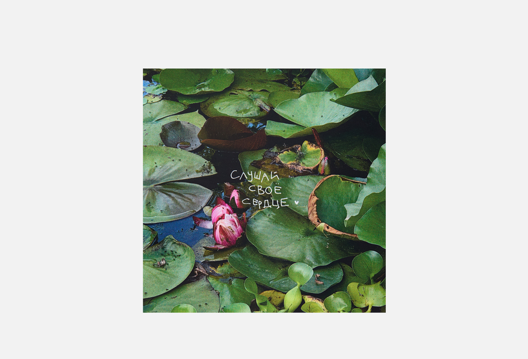 Слушай своё сердце 1 шт 300₽