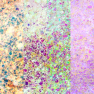 

Набор глиттеров SPLASH, Мультиколор, Для лица, тела и волос 4 шт