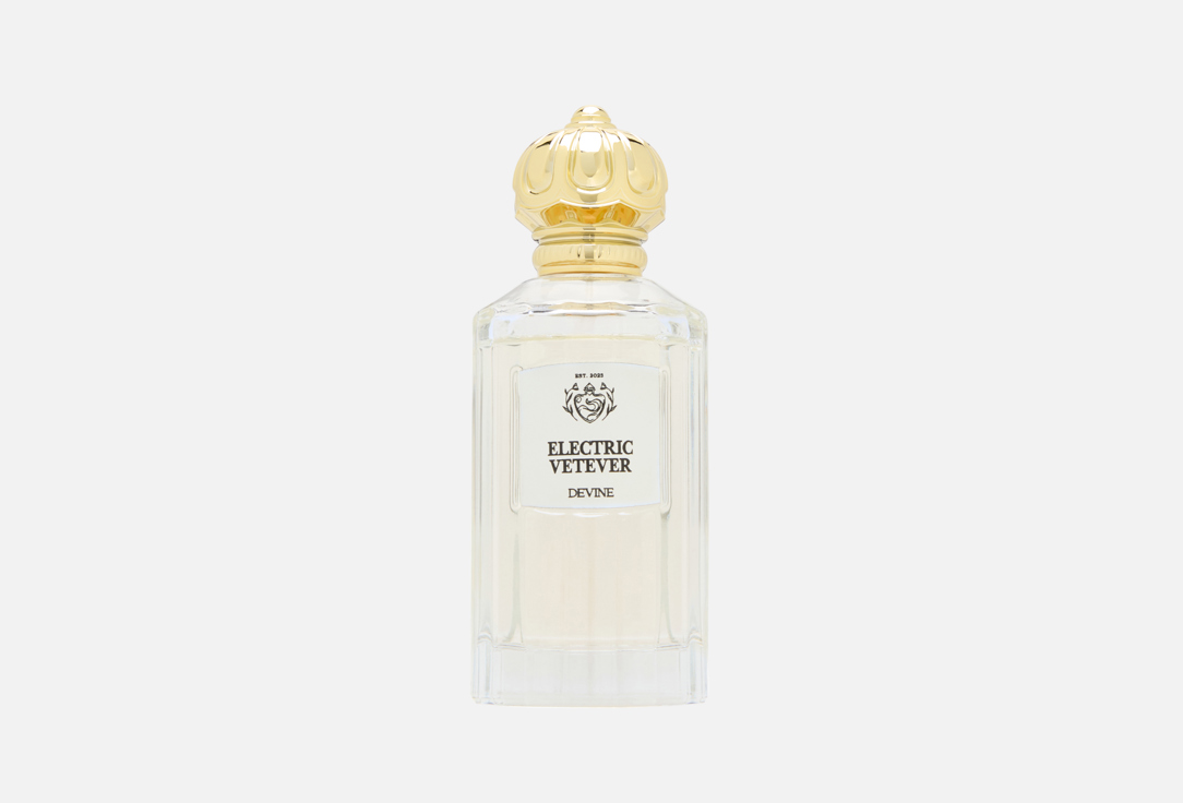 Изображение товара Парфюмерная вода Electric Vetiver для женщин 100 мл Devine Perfumes