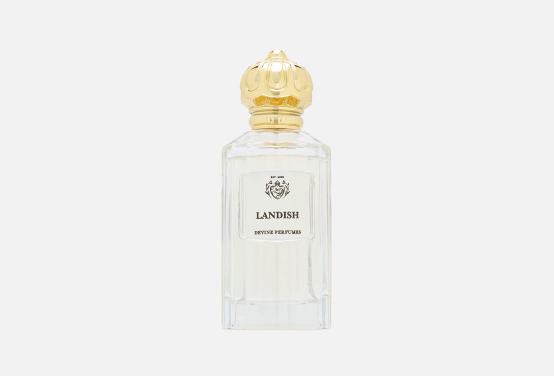 

Парфюмерная вода DEVINE PERFUMES, Landish 100 мл