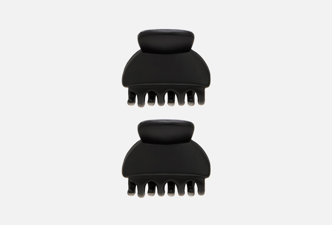 

Крабики для волос BABYLISS ACCESSORIES, Матовые 2 шт