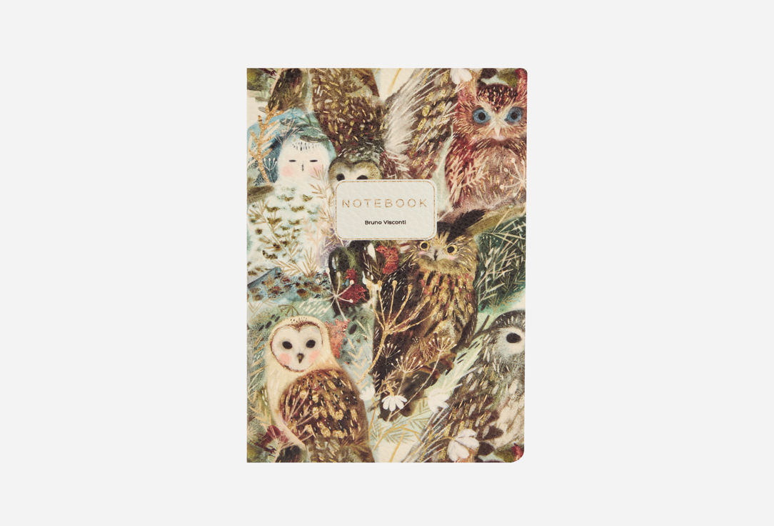 Изображение товара Тетрадь Bruno Visconti Волшебные совы a5 с мягкой обложкой и 60 листов
