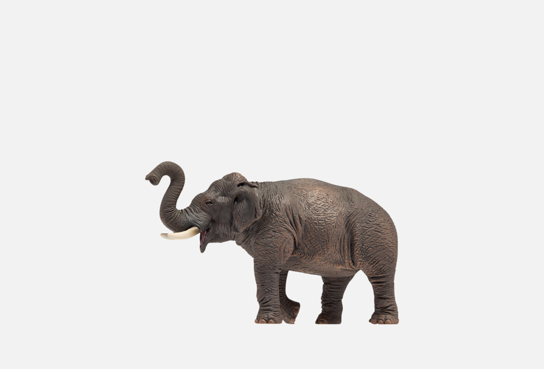 

Фигурка COLLECTA, Серый, Азиатский слон, 8,5 см 1 шт