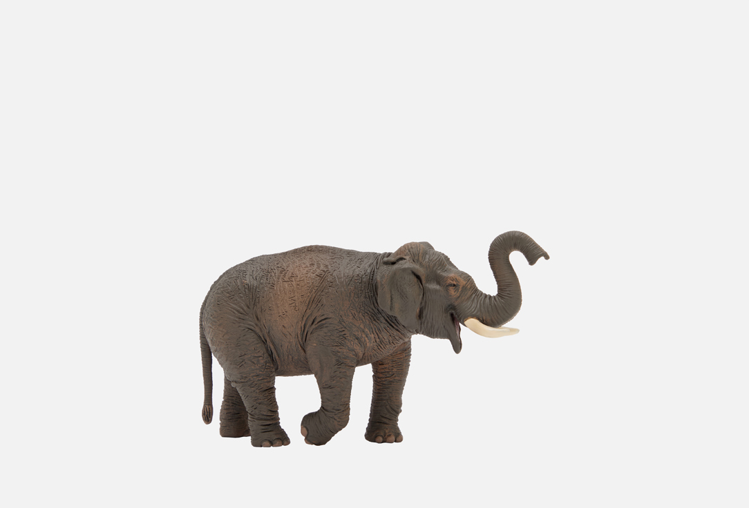 Изображение товара Фигурка collecta Азиатский слон, 8,5 см
