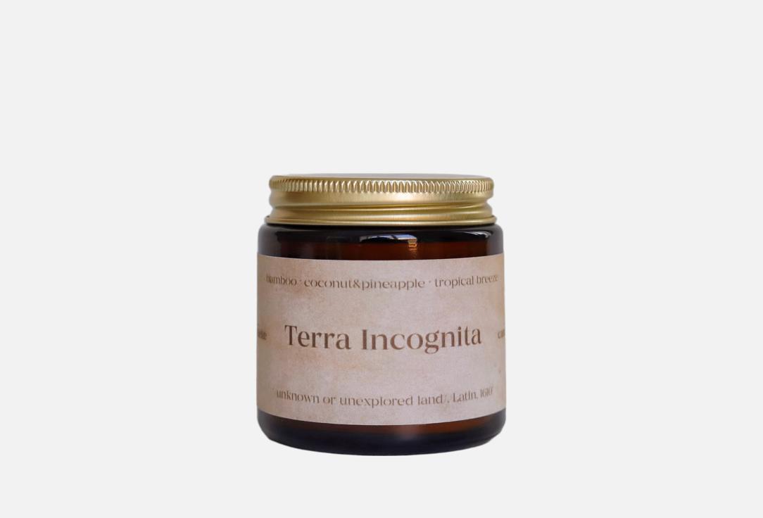 

Ароматическая свеча CANDELAE.STORIES, Terra Incognita 120 мл